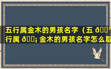 五行属金木的男孩名字（五 🌳 行属 🐡 金木的男孩名字怎么取）